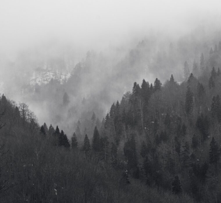 3547D8A8-DC47-49A9-B1C7-59956D325DF3_1_105_c