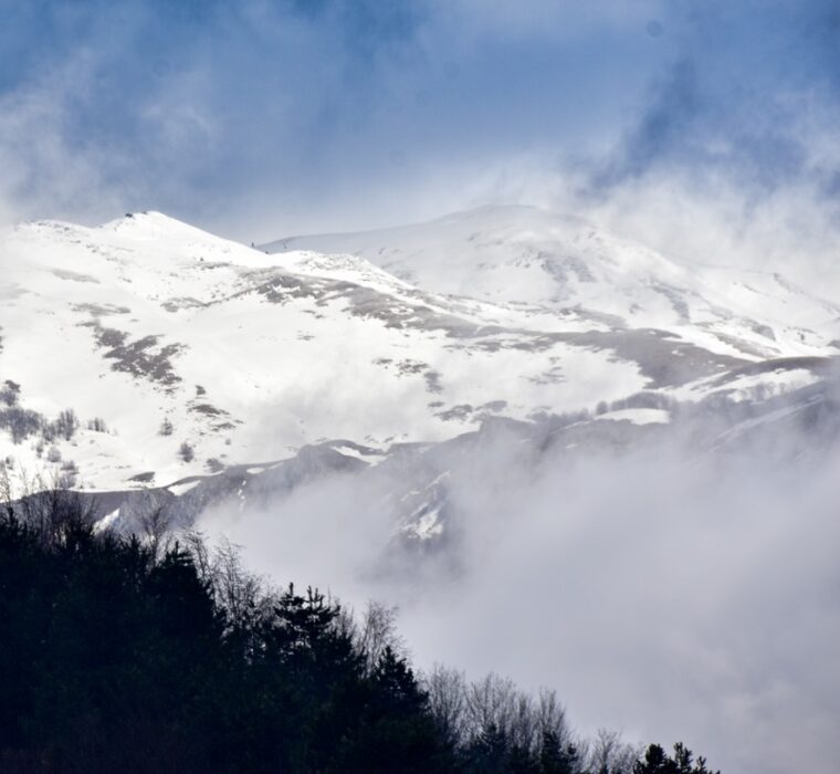 448F0591-2E70-4079-9165-F20F269B8CBA_1_105_c