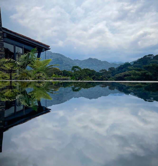 70139027-9F94-43ED-B872-A21656020632_1_105_c