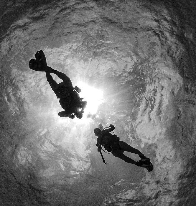 859D45DA-D29C-42D9-9890-B879D6FB3552_1_105_c