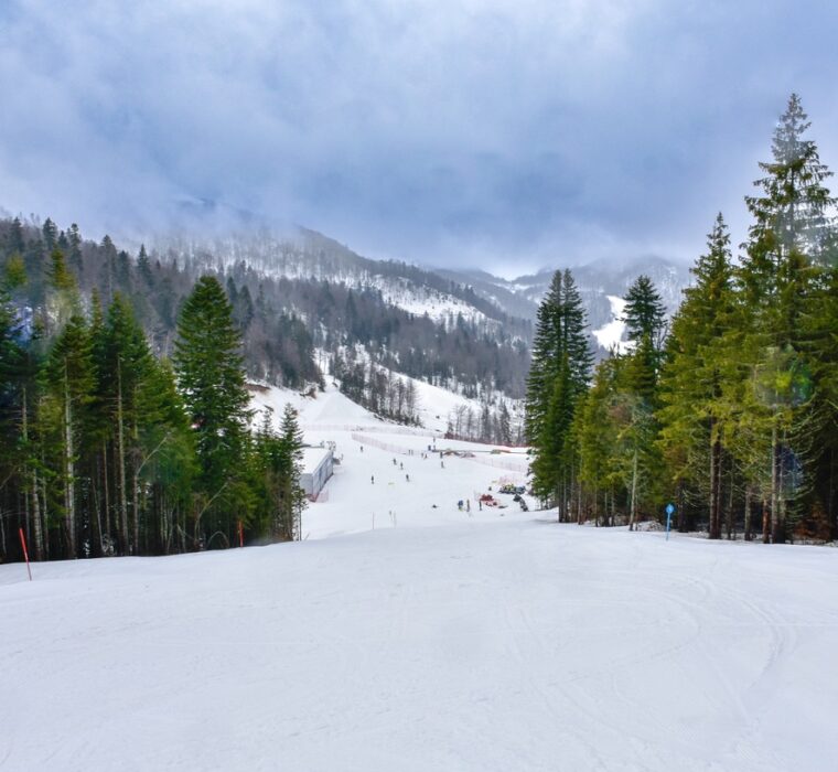 C7AC2FBA-5608-4DC6-A040-F21834550E9B_1_105_c