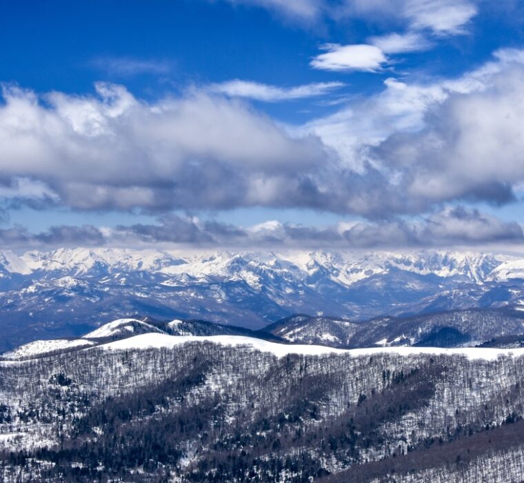 E776F35C-A66B-483C-8CB5-8021ADA856FB_1_105_c